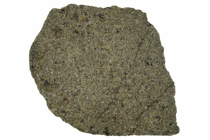 Martian Shergottite Meteorite ( g) Slice - New Find #309814